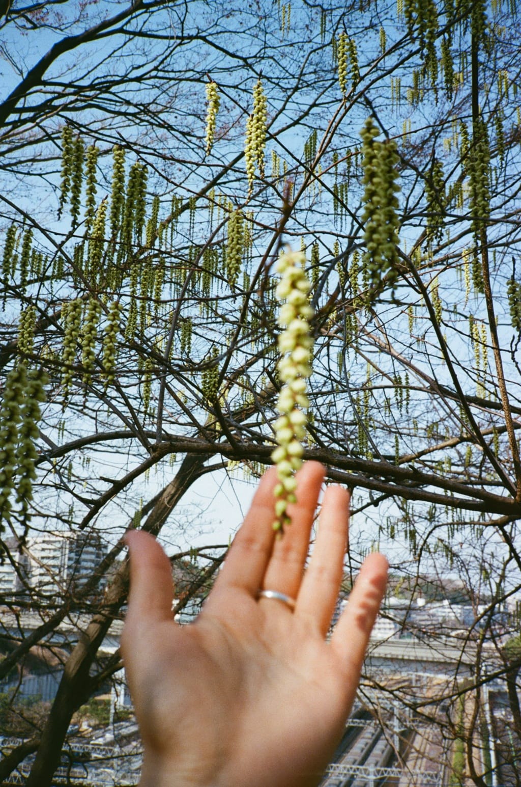 10:6 - the unsung heroes of Tokyo's culinary scene